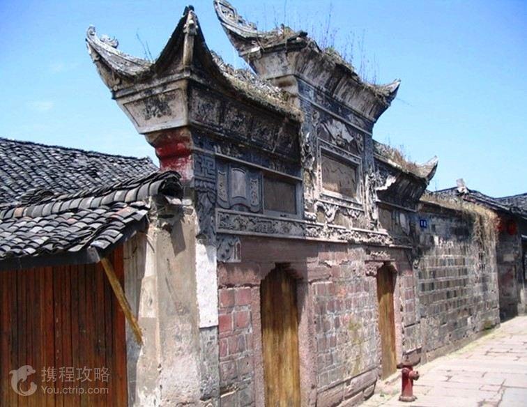 春节期间宠物上门喂养服务订单火爆，业内人士提醒：入行需慎重